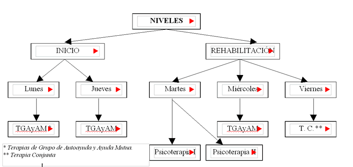 Diagrama programa APAJP